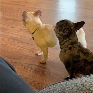 Meet your Posher, Kelsey